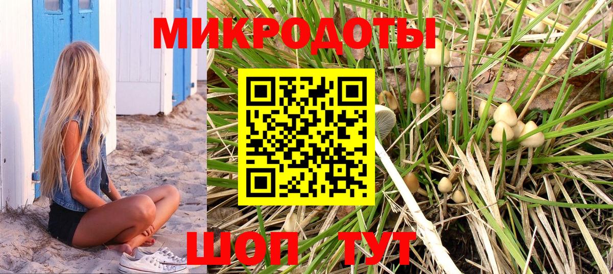Мурманск  Галлюциногенные грибы мицелий  Вход с VPN  Галлюциногенные грибы Psilocybine cubensis 